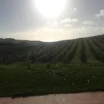 Casa Chardonnay * Menfi