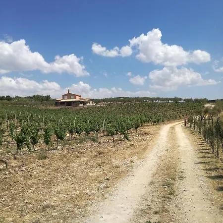 Casa Chardonnay 别墅