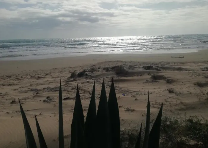 Casa Chardonnay Menfi